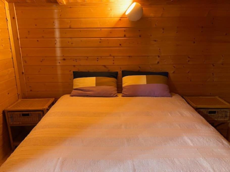 Chalet Malaza 埃安 外观 照片