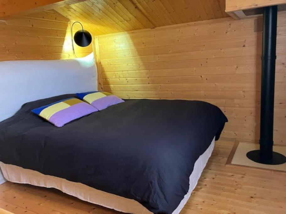 Chalet Malaza 埃安 外观 照片